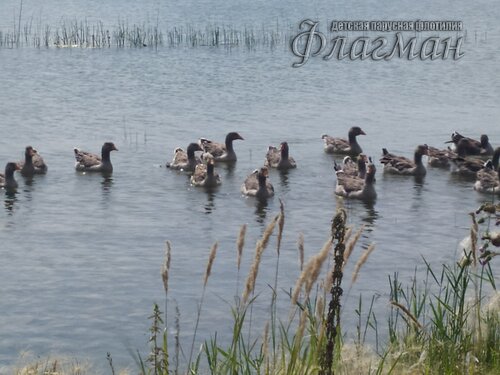 IMG_20240807_140525